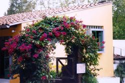 2.2 Entrada Y Taquilla 1990s